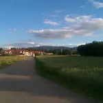Aim Lesny Zakatek F8 Ustroń