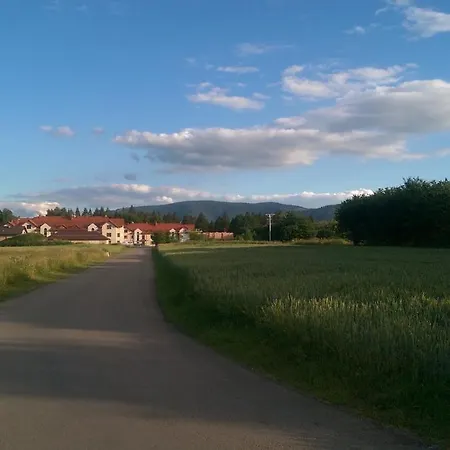 Aim Lesny Zakatek F8 Ustroń