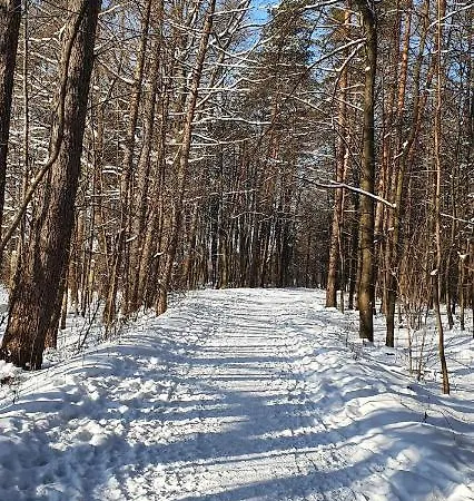 Aim Lesny Zakatek F8 Ustroń