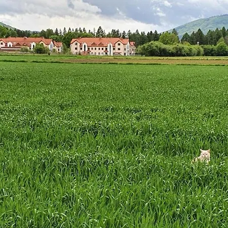 Aim Lesny Zakatek F8 *