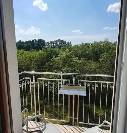 Aim Lesny Zakatek F8 *