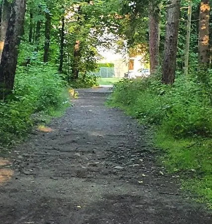 Aim Lesny Zakatek F8