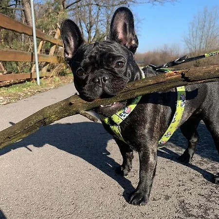 Aim Lesny Zakatek F8 Apartament