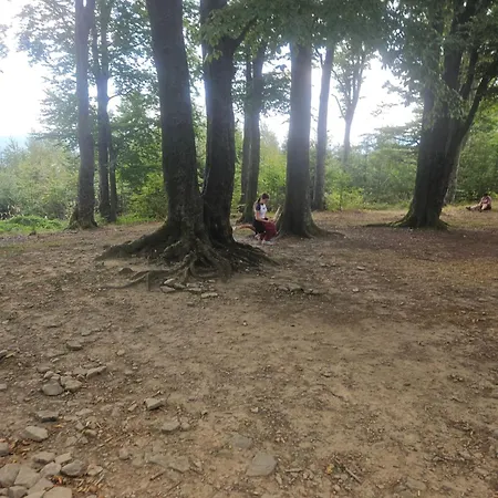 Aim Lesny Zakatek F8 * Ustroń