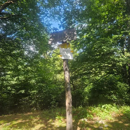 Aim Lesny Zakatek F8 Apartament *