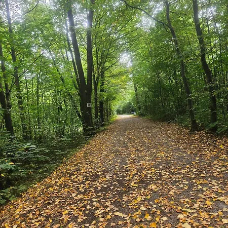 Apartament Aim Lesny Zakatek F8 Ustroń