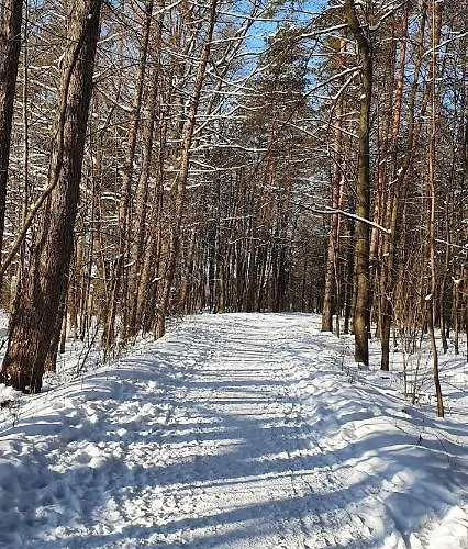 Aim Lesny Zakatek F8 Ustroň
