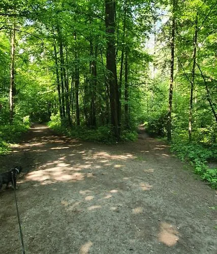 Aim Lesny Zakatek F8 Apartmán