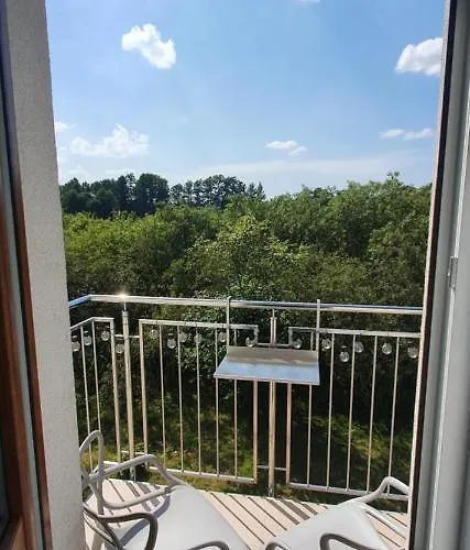 Aim Lesny Zakatek F8 *