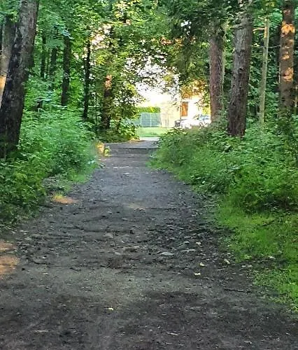 Aim Lesny Zakatek F8