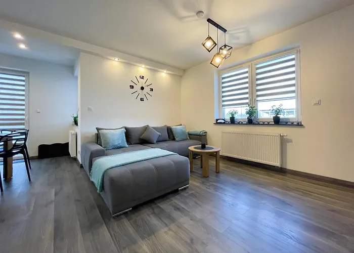 Aim Lesny Zakatek F8 *