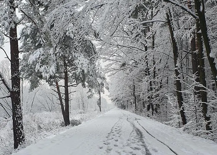 Apartmán Aim Lesny Zakatek F8 Ustroň