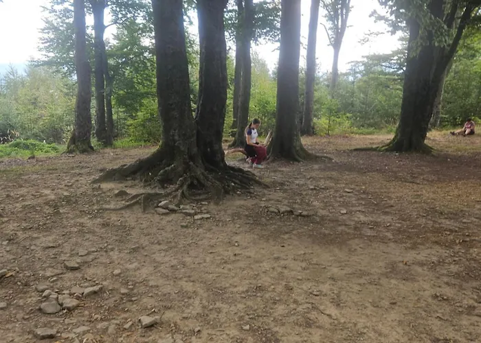 Aim Lesny Zakatek F8 * Ustroň