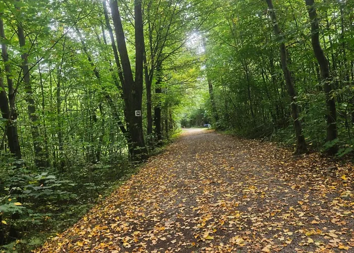 Apartmán Aim Lesny Zakatek F8 Ustroň